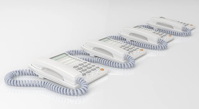 IP Telephone 1